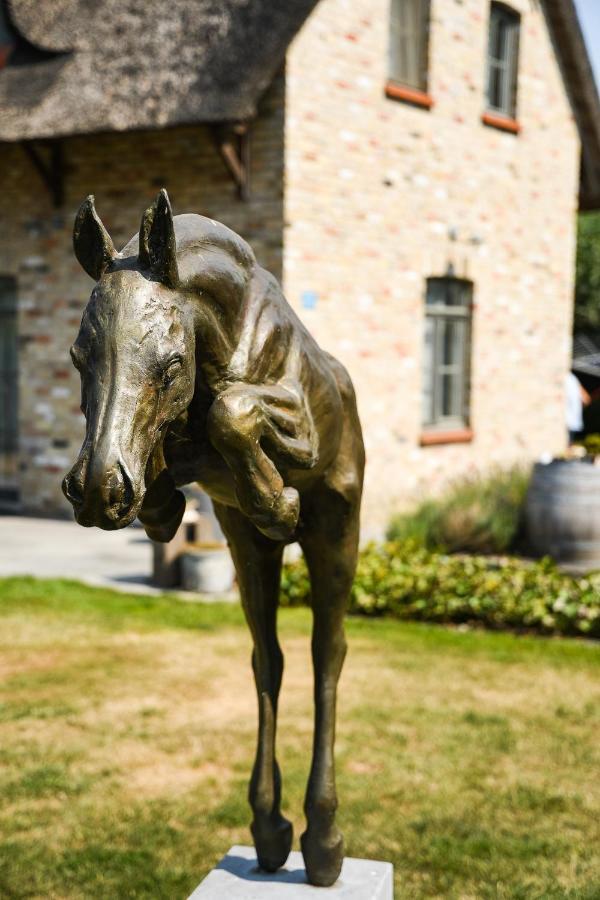 مبيت وإفطار Kapelhoek Bb-Hof Ter Boone المظهر الخارجي الصورة